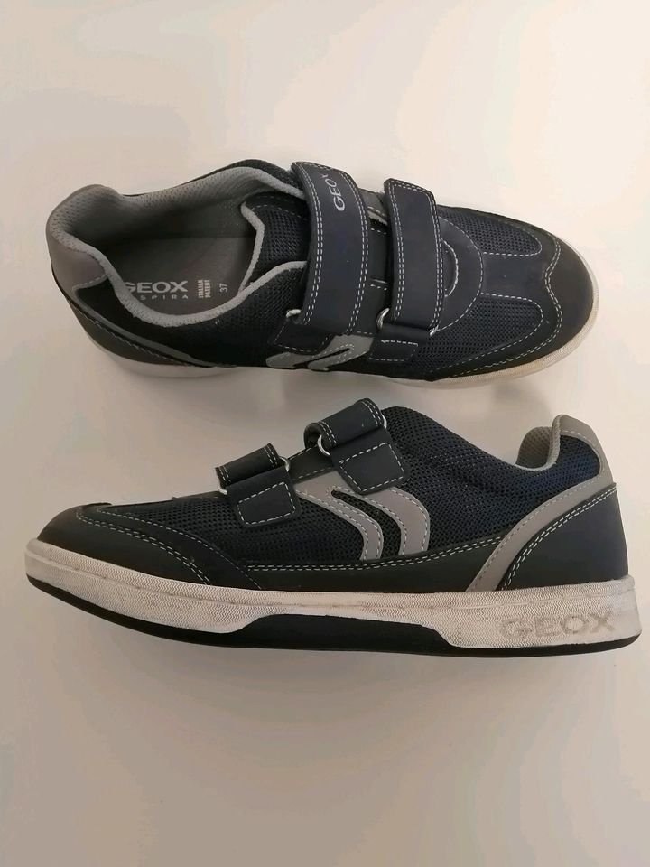 GEOX Kinderschuhe Klettverschluss blau Gr 37 TOP in Wirschweiler