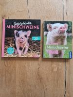 Bücher Minischweine Sachsen - Pegau Vorschau