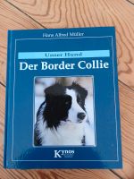 Border Collie Buch Schleswig-Holstein - Flensburg Vorschau