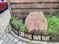 Stein, sehr groß, XXL zu verschenken Nordrhein-Westfalen - Geilenkirchen Vorschau