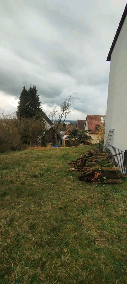 Haushaltshilfe, Reinigung, Gartenpflege für Kulmbach! in Kulmbach