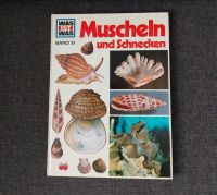 Was ist was - Muscheln und Schnecken - Band 51 Nordrhein-Westfalen - Dülmen Vorschau