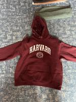 Pullover/Hoodie Sachsen - Freital Vorschau
