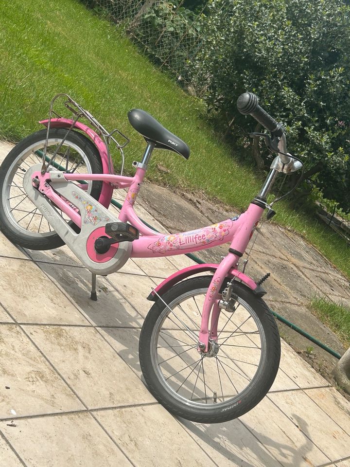 Mädchen Fahrrad 16 Zoll in Salzbergen