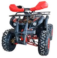 Quad 125cc 4Takt 8 Zoll Räder Benzin Baden-Württemberg - Münsingen Vorschau