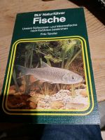 Buch blv naturfuhrer fische Saarland - Illingen Vorschau
