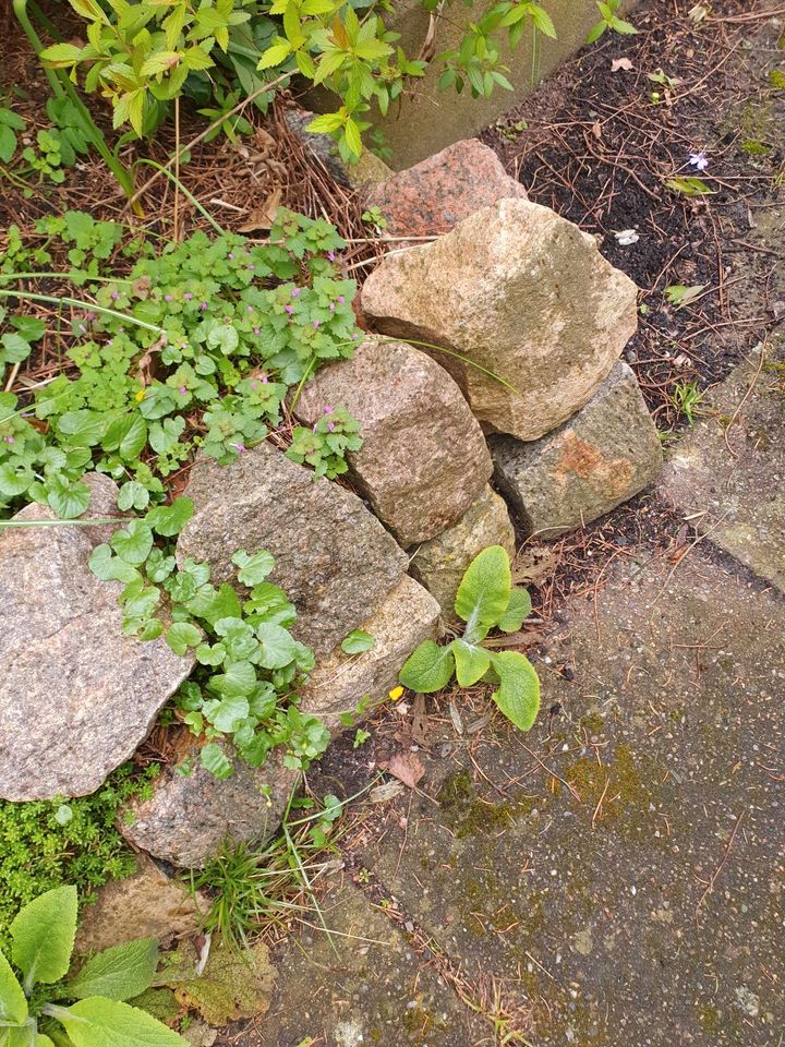 Naturpflastersteine groß, Granit. in Ammersbek