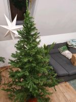 Weihnachtsbaum 2m hoch Thüringen - Wallichen Vorschau