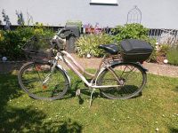 Damenrad fahrbereit zu verkaufen Baden-Württemberg - Lahr (Schwarzwald) Vorschau