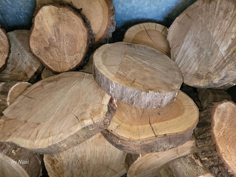 Baumscheiben zu verkaufen in Herne