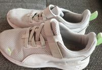 Turnschuhe Sneaker Puma Gr. 33 Sachsen - Hainewalde Vorschau