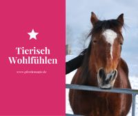 Emotionscode | Energiearbeit für Pferde und ihre Menschen Bayern - Zorneding Vorschau