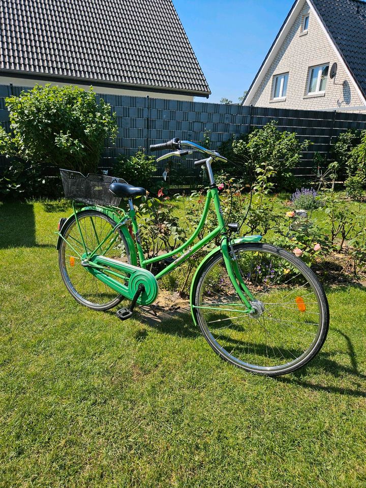 Fahrrad 28Zoll, Hollandrad von Amsterdam in Wolbeck