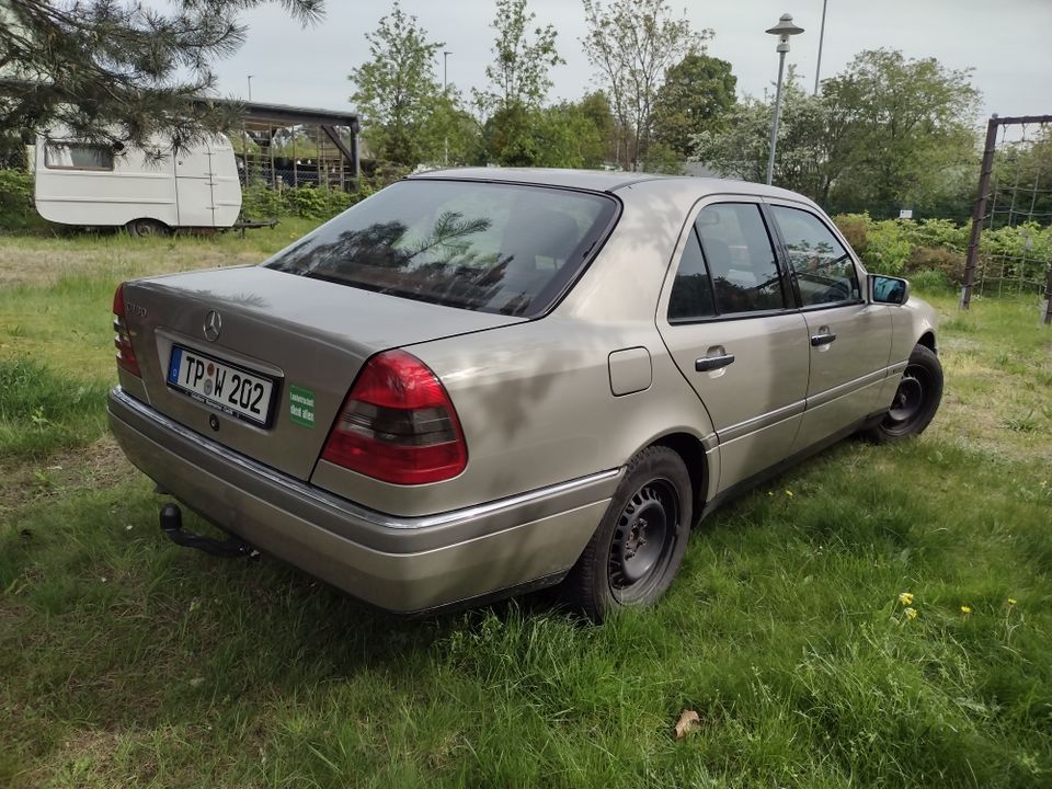Oldtimer Mercedes + Qek Junior Camper / Vanlife-Alternative in Templin