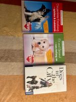 Hunde Bücher Konvolut Nordrhein-Westfalen - Bocholt Vorschau