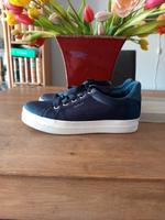 GANT Gr.41 Sneakers inkl.v. Niedersachsen - Werlte  Vorschau