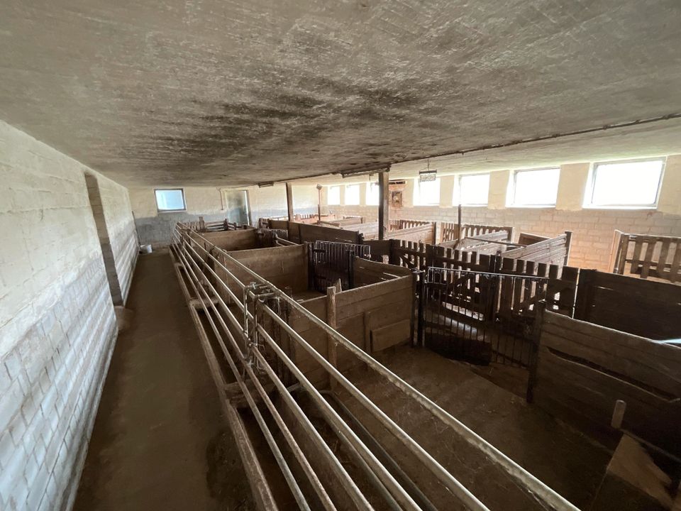 Bauernhof mit Wohnhaus, Stallungen und Scheune für Pferdeliebhaber in Sontra