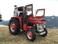 Massey Ferguson 135  Oldtimer- Einzelstück Kr. Passau - Passau Vorschau