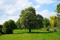 Hundsmühlen! Schönes Hintergrundstück zu verkaufen... Niedersachsen - Wardenburg Vorschau