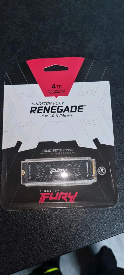 Kingston Fury Renegade 4TB M.2 NVME SSD in Piding