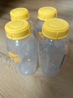 Medela Flaschen 250 ml Nordrhein-Westfalen - Nümbrecht Vorschau