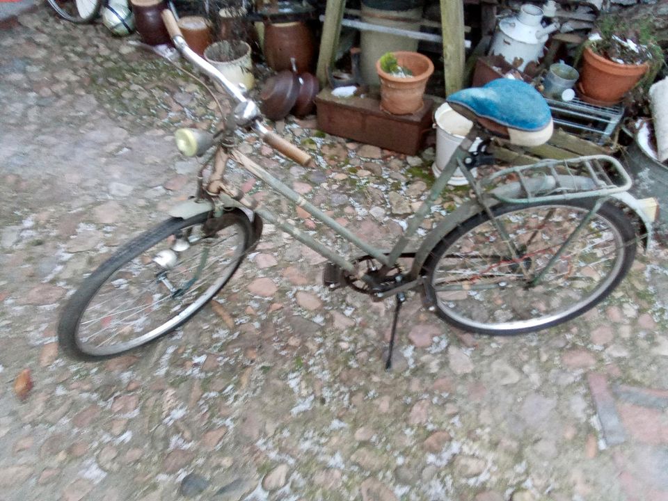 altes Fahrrad Damenfahrrad Bauern Werke DDR VEB 70 Jahre Oldtimer in Lutherstadt Wittenberg