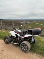 Triton SM 450 R Quad 450 ccm Baden-Württemberg - Kehl Vorschau