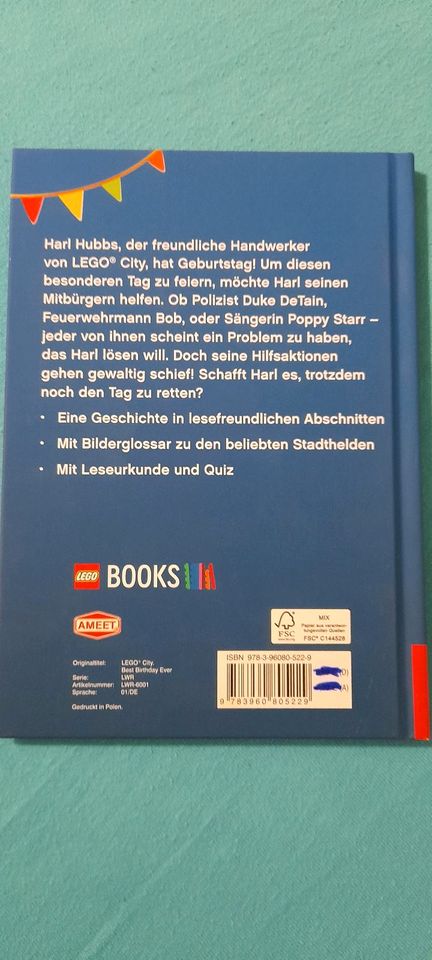 Lego City- Ein besonderer Tag Buch in Vierkirchen