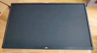 LG UHD IPS 4K 27 Zoll Monitor Nordrhein-Westfalen - Detmold Vorschau