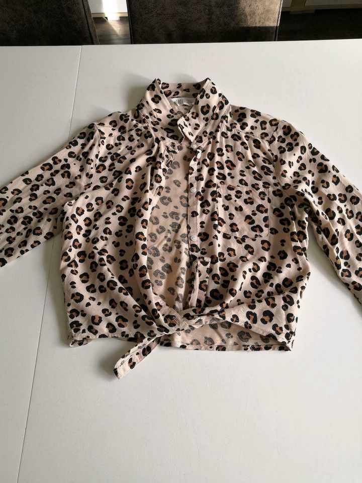 Bluse Leoprint Gr 164 H&M in Zirkow