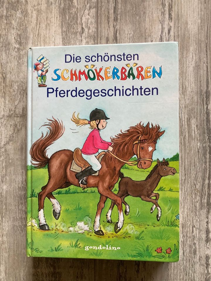 Bücherpaket Pferdebücher / Tierbücher in Raddestorf