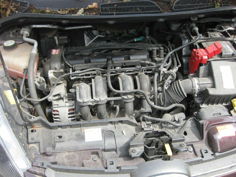 Ersatzteile Ford Fiesta MK7 (Typ JA8) Bj 04/2009, 397 Morello met in Köln