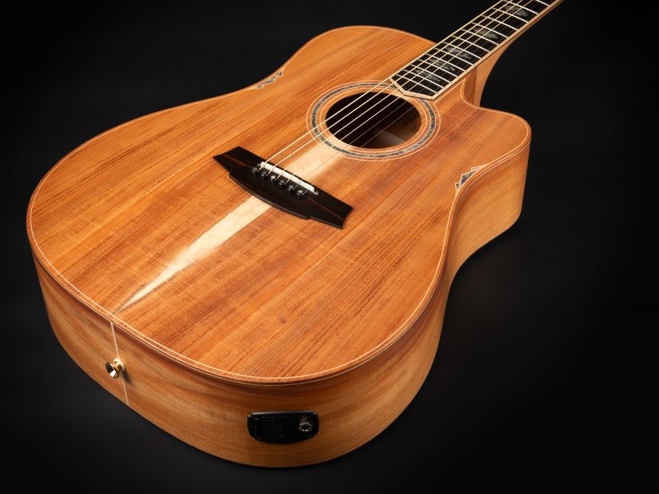 2022 Cole Clark FL3EC-BLBL Tasmanian Blackwood Abalone Pickup in Niebüll