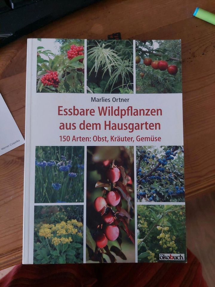 Essbare Wildpflanzen aus dem Hausgarten in Wermelskirchen