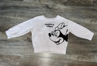 Kinder Pulli von Disney 100 Baden-Württemberg - Bad Wildbad Vorschau