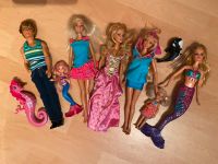 Barbie Puppen mit Zubehör Bayern - Rimsting Vorschau