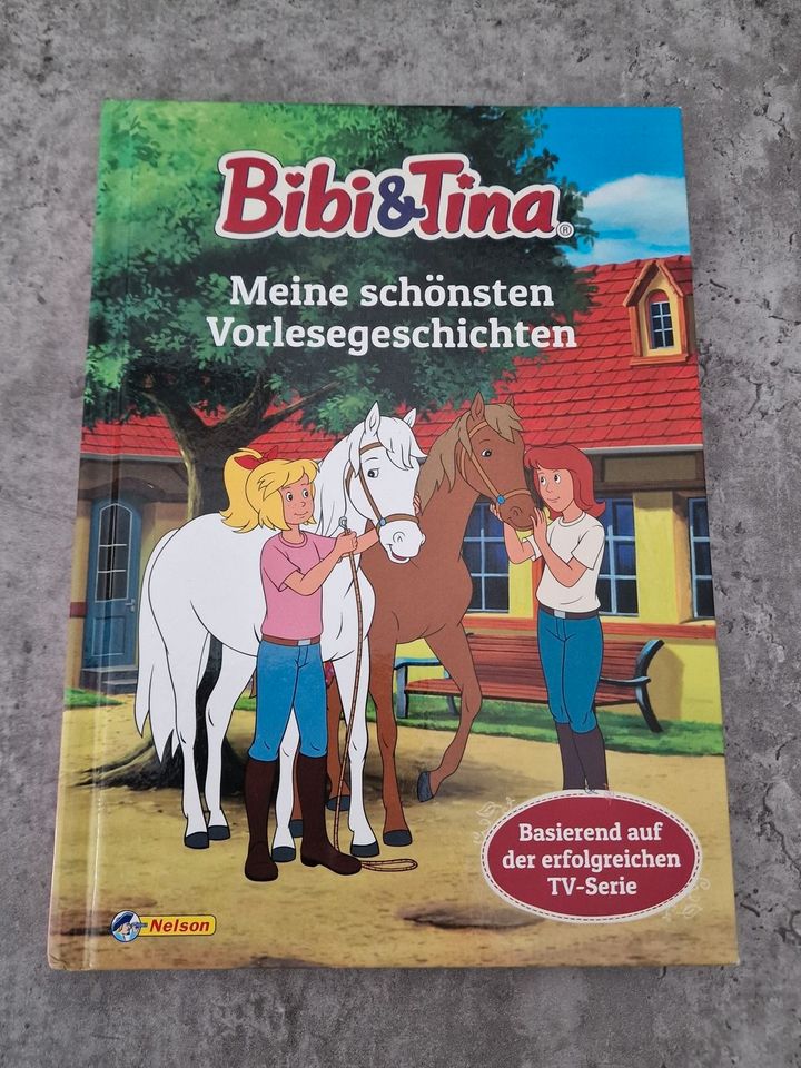 wunderschönes Bibi & Tina Buch - Meine schönsten Vorlesegeschicht in Braunschweig