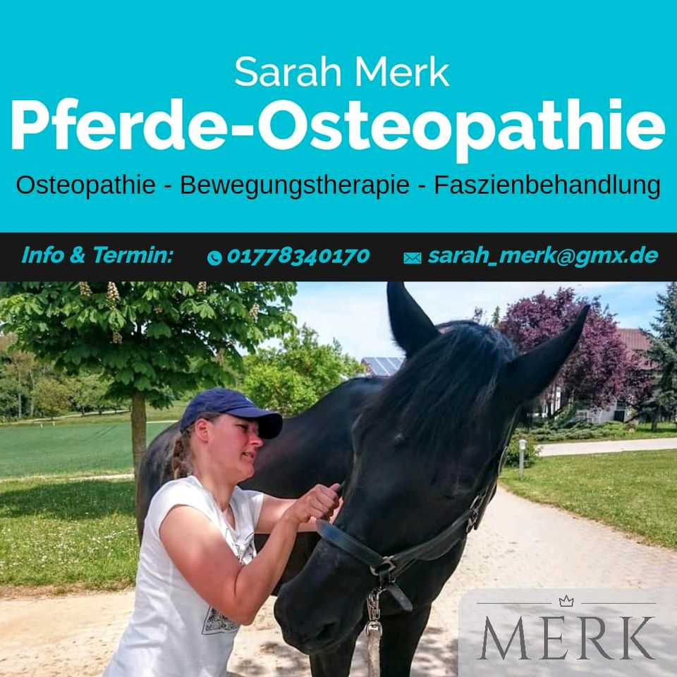 Pferdeosteopathie Pferdephysiotherapie in Schnega