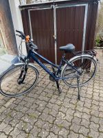 Damenfahrrad 28 Fahrrad - Raleigh Baden-Württemberg - Albbruck Vorschau