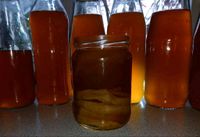 Kombucha Ansatz mit Scoby abzugeben, Bio Hessen - Herborn Vorschau