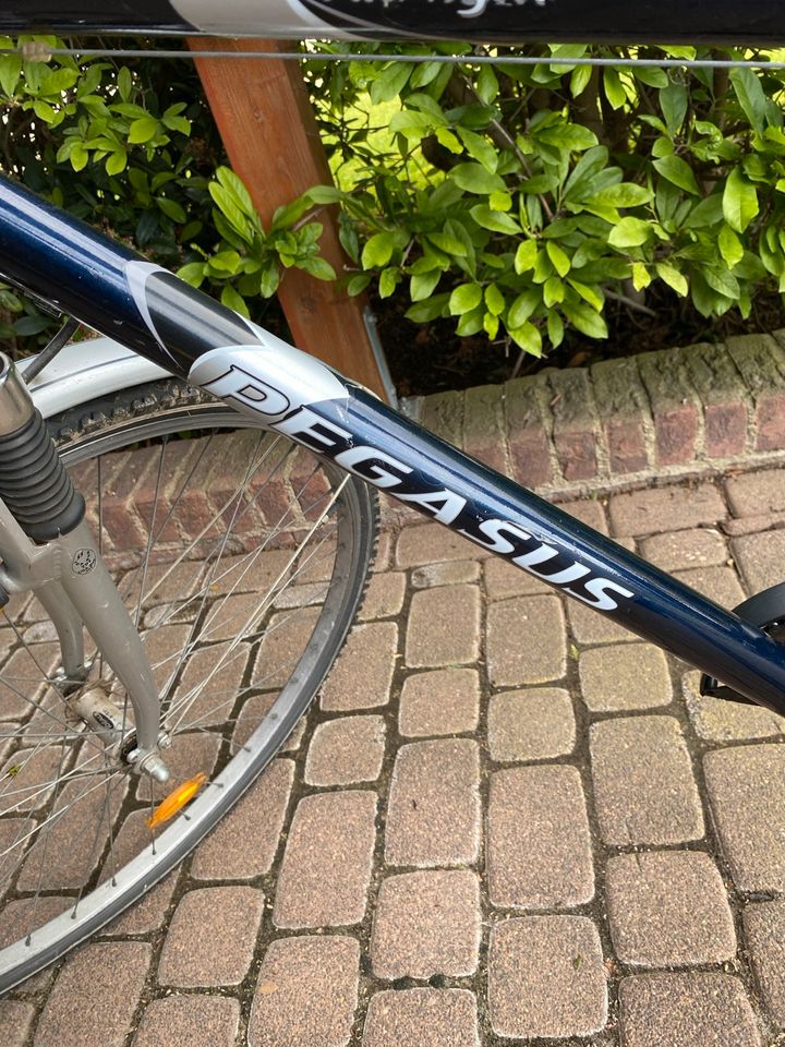 Pegasus Herren Fahrrad 28 Zoll in Elsdorf