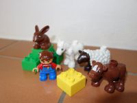 Lego Duplo 5646 Tierbabys auf dem Bauernhof Nordrhein-Westfalen - Simmerath Vorschau