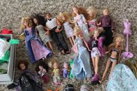 Barbie + Ken Sammlung +Kleidung 11 große, 4 kleine Puppen Niedersachsen - Vechelde Vorschau