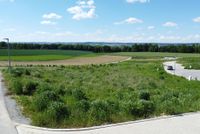 Baugrundstück in Dingolfing/Teisbach Bayern - Dingolfing Vorschau