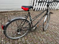 Fahrrad 12 Gänge Niedersachsen - Sassenburg Vorschau