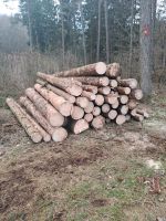 Forstarbeiten Waldarbeiten Rückearbeiten Bayern - Nittenau Vorschau