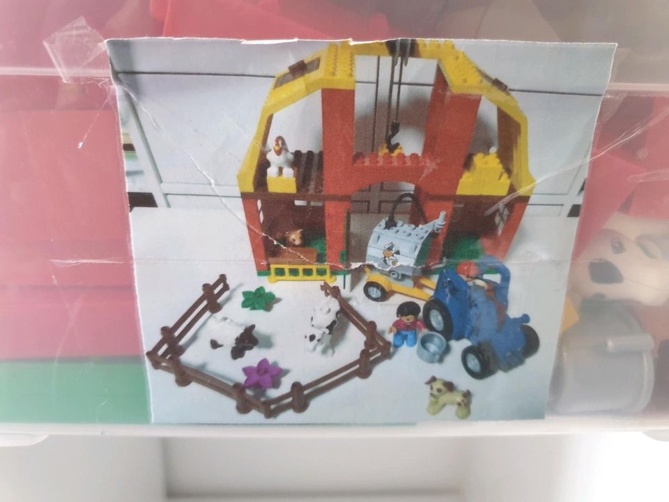 Lego Duplo 5649 Großer Bauernhof in Roth