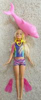 Barbie mit Delphin *top Zustand* Hessen - Usingen Vorschau