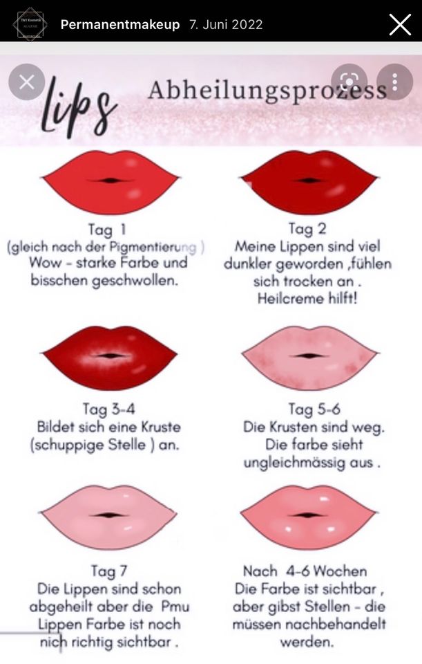 Kombi Schulung Powder Brows & Lips Schulung ♥️Maschine Gratis in Frankfurt am Main