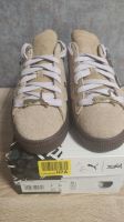 Puma Suede beige 39 neu Saarbrücken-Mitte - St Johann Vorschau